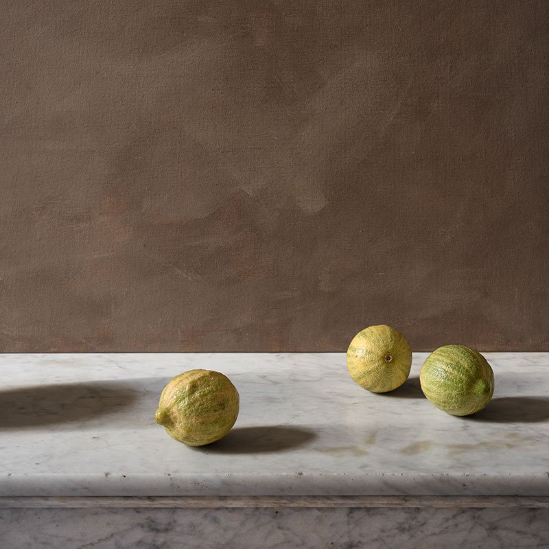 Citrons panachés et marbre